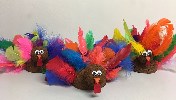 Finished Feather Turkeys