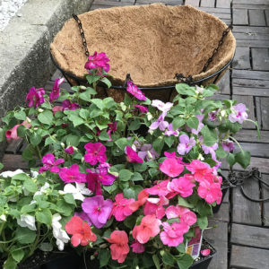 Supplies needed for hanging flower basket