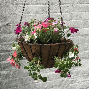 Flower basket hung up