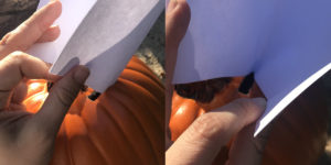 Using Sheet Of Paper As Funnel To Fill Pumpkin With Sand