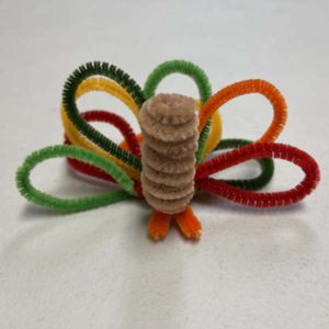 Pipe cleaner turkey without face