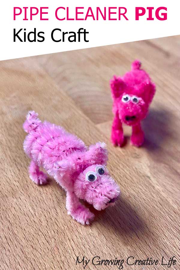 Pipe cleaner pig