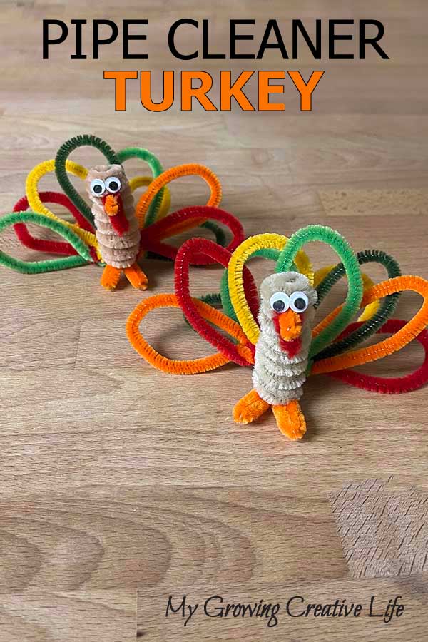 Pipe Cleaner Turkey Kids Craft